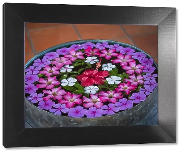 Asia, Vietnam, Mui Ne. Red, white, pink, and purple flowers floating in a bowl of water