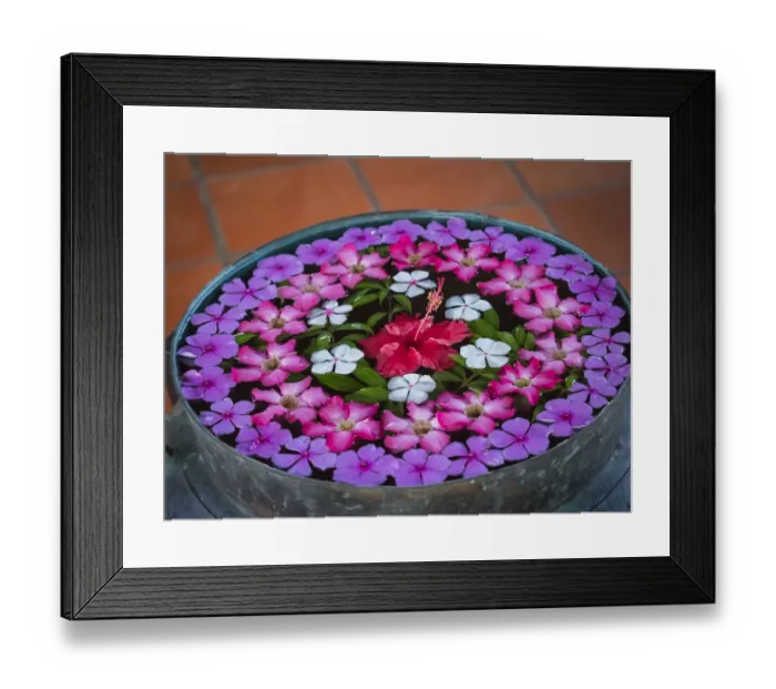 Framed Print : Asia, Vietnam, Mui Ne. Red, white, pink, and purple flowers floating in a bowl of water