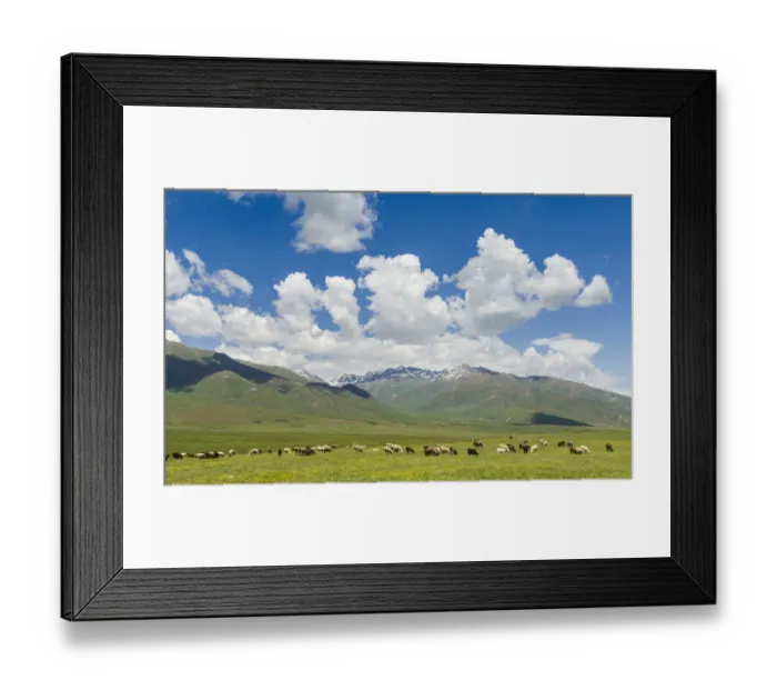 Framed Print : Summer pasture with traditional Yurts. The Suusamyr plain Framed Print : Summer pasture with traditional Yurts. The Suusamyr plain