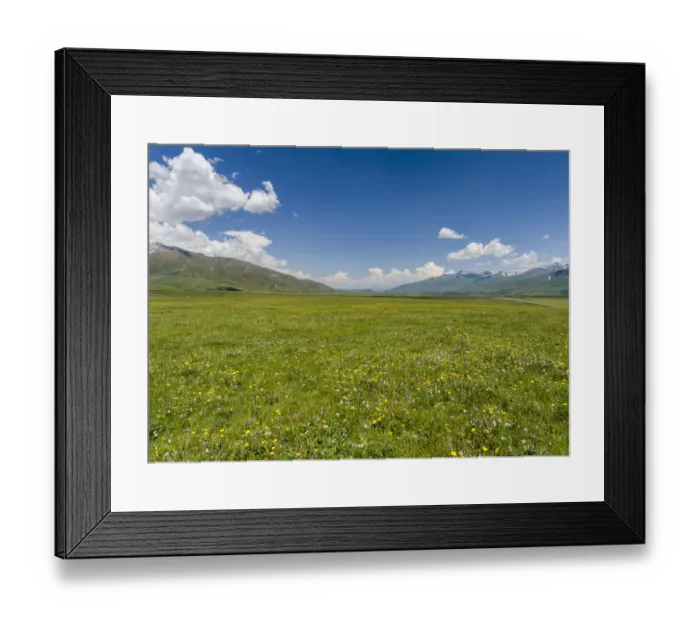 Framed Print : The Suusamyr plain, a high valley in Tien Shan Mountains, Kyrgyzstan