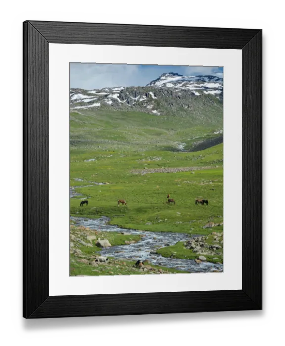 Framed Print : Landscape at the Otmok mountain pass in the Tien Shan or heavenly mountains, Kyrgyzstan Framed Print : Landscape at the Otmok mountain pass in the Tien Shan or heavenly mountains, Kyrgyzstan