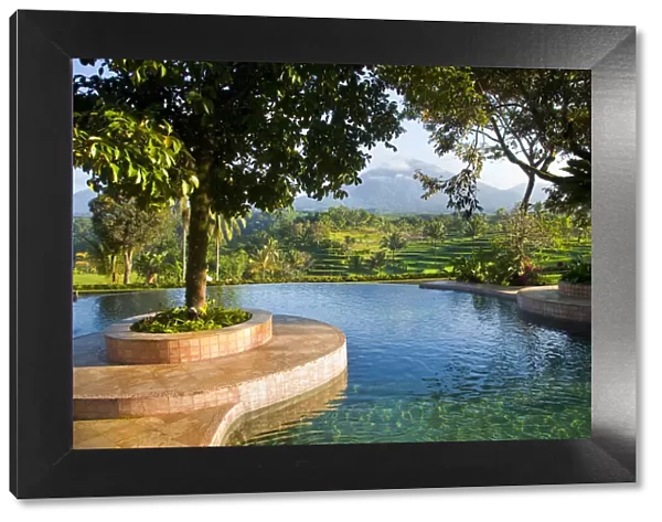 Indonesia, Java. Landscape with pool and rice terraces at resort