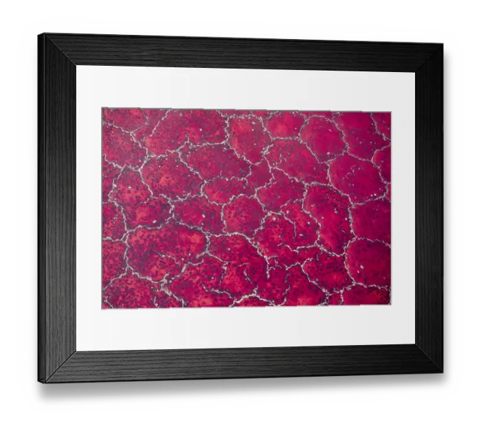 Framed Print : Africa, Tanzania, Aerial view of patterns of red algae and salt formations in shallow Framed Print : Africa, Tanzania, Aerial view of patterns of red algae and salt formations in shallow