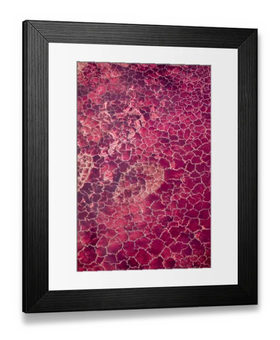 Framed Print : Africa, Tanzania, Aerial view of patterns of red algae and salt formations in shallow Framed Print : Africa, Tanzania, Aerial view of patterns of red algae and salt formations in shallow