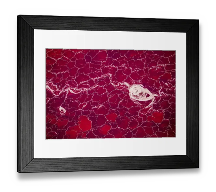 Framed Print : Africa, Tanzania, Aerial view of patterns of red algae and salt formations in shallow
