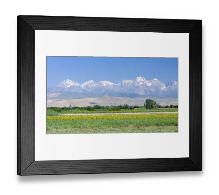 Framed Print : Landscape in the foothills of the Fergana mountain range (Ferganskij xrebet Framed Print : Landscape in the foothills of the Fergana mountain range (Ferganskij xrebet