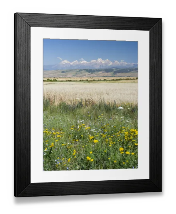 Framed Print : Landscape in the foothills of the Fergana mountain range (Ferganskij xrebet Framed Print : Landscape in the foothills of the Fergana mountain range (Ferganskij xrebet