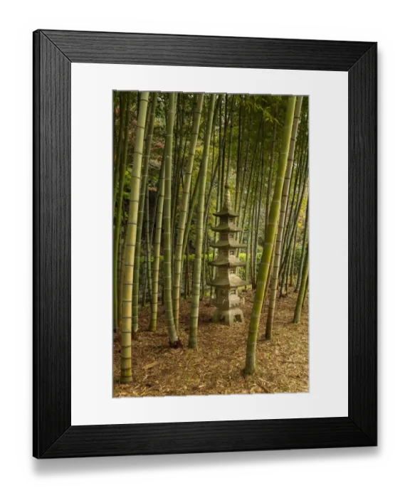 Framed Print : A tall pagoda statue in the center of a tall bamboo grove, Akebonoyama Park, Japan Framed Print : A tall pagoda statue in the center of a tall bamboo grove, Akebonoyama Park, Japan