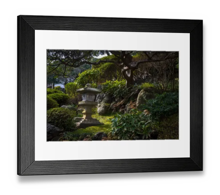Framed Print : A peaceful garden with Pagoda and old tree Framed Print : A peaceful garden with Pagoda and old tree