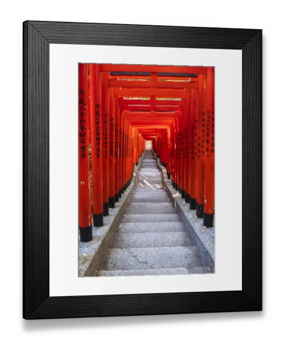 Framed Print : Famous Torii, or gates of the entrance to the Hie Shrine in Tokyo, Japan
