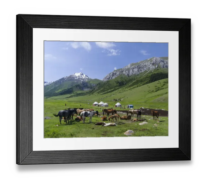 Framed Print : Alpe with Yurt and horses, the mares are used for milking