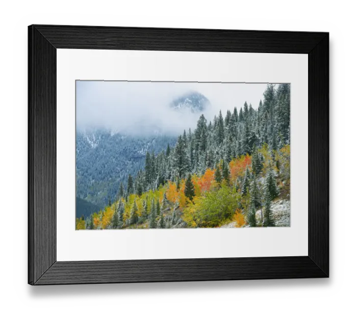 Framed Print : Canada, Alberta. Fog in Canadian Rocky Mountains. Credit as Framed Print : Canada, Alberta. Fog in Canadian Rocky Mountains. Credit as