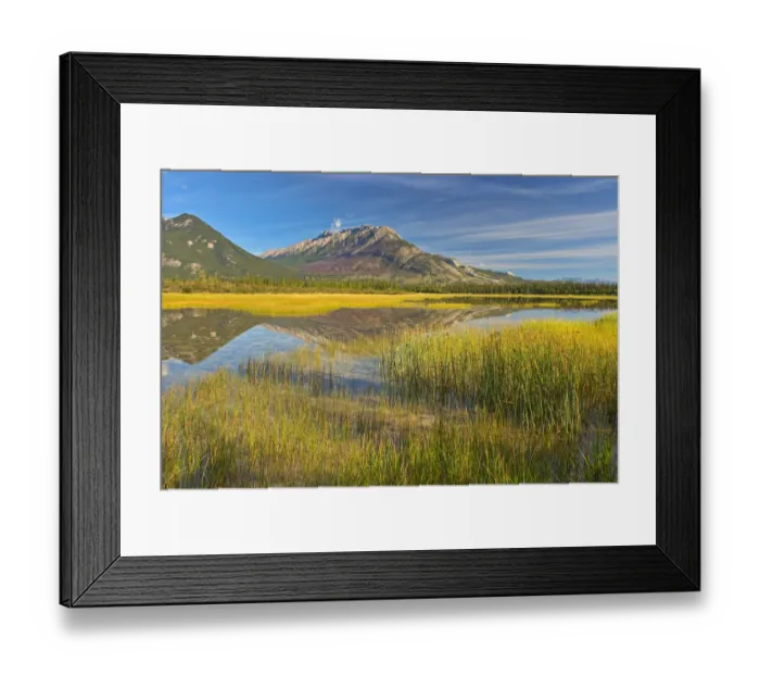 Framed Print : Canada, Alberta, Jasper National Park. Reflections in Jasper Lake