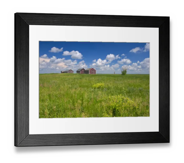 Framed Print : Canada, Alberta, Oyen. Granaries in field of grass. Credit as