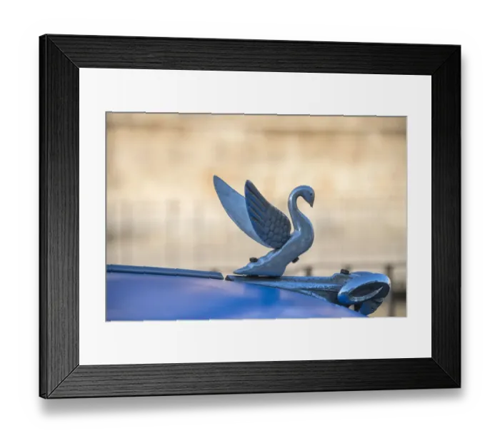Framed Print : Close-up of a swan hood ornament on a classic blue American car in Vieja, old Habana Framed Print : Close-up of a swan hood ornament on a classic blue American car in Vieja, old Habana