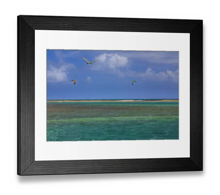 Framed Print : Caribbean, Grenada, Union Island. Surf kites and pelican flying over ocean