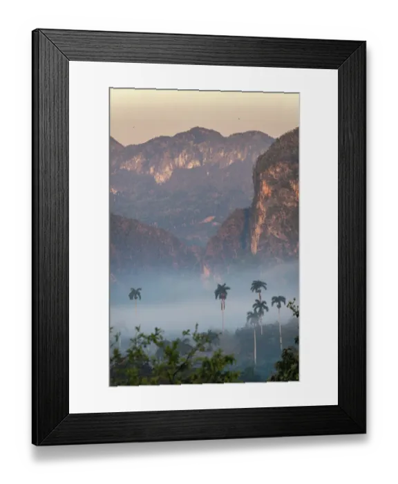 Framed Print : Morning fog rises from the palm tree lined Vinales Valley, Cuba Framed Print : Morning fog rises from the palm tree lined Vinales Valley, Cuba
