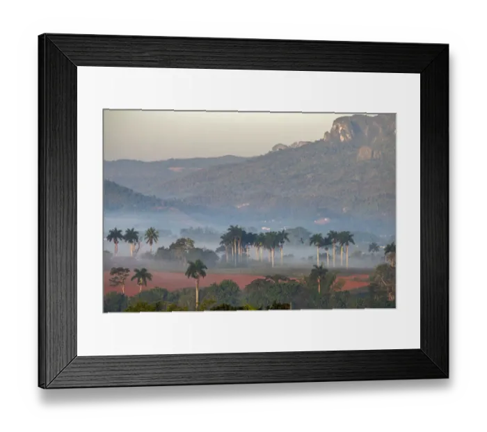 Framed Print : Morning fog rises from the palm tree lined Vinales Valley, Cuba
