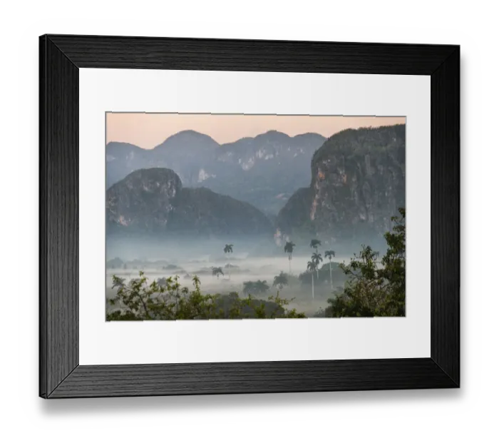 Framed Print : Morning fog rises from the palm tree lined Vinales Valley, Cuba Framed Print : Morning fog rises from the palm tree lined Vinales Valley, Cuba