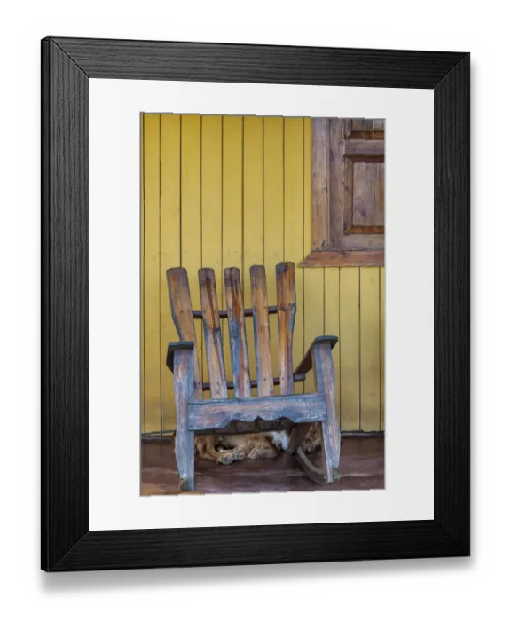 Framed Print : A dog sleeps under a weathered Adirondack rocking chair in Vinales, Cuba