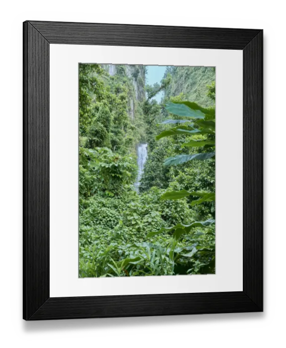 Framed Print : Caribbean, West Indies, Dominica Island. One of Dominica Framed Print : Caribbean, West Indies, Dominica Island. One of Dominica