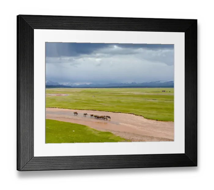 Framed Print : Horses in the Alay Valley and the Trans-Alay Range in the Pamir Mountains Framed Print : Horses in the Alay Valley and the Trans-Alay Range in the Pamir Mountains