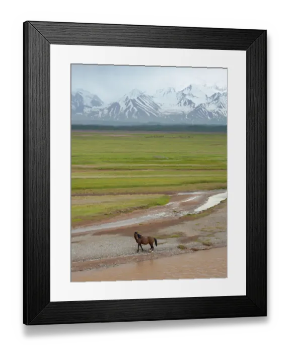Framed Print : Horses in the Alay Valley and the Trans-Alay Range in the Pamir Mountains Framed Print : Horses in the Alay Valley and the Trans-Alay Range in the Pamir Mountains