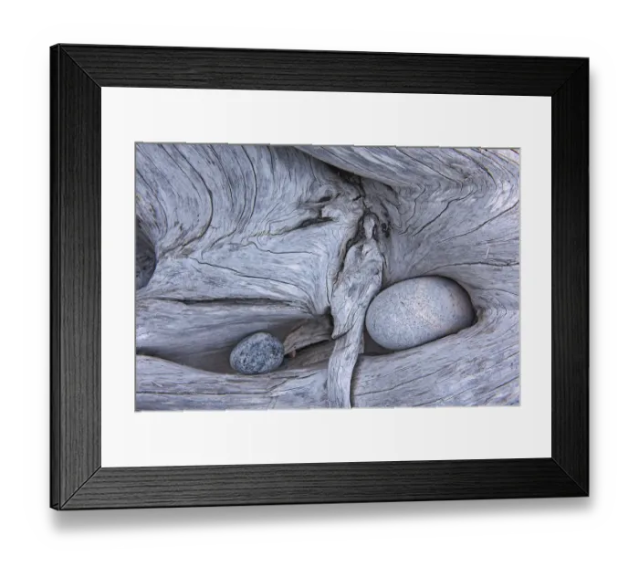 Framed Print : Canada, Ontario, Marathon. Rocks in driftwood on Pebble Beach Framed Print : Canada, Ontario, Marathon. Rocks in driftwood on Pebble Beach