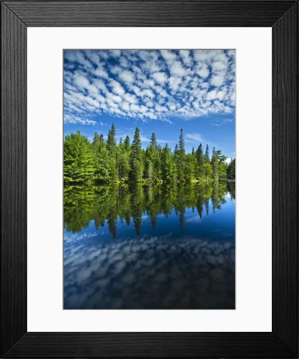 Framed Print : Canada, Ontario, Algonquin Provincial Park, Clouds and boreal forest reflected in Canoe Framed Print : Canada, Ontario, Algonquin Provincial Park, Clouds and boreal forest reflected in Canoe