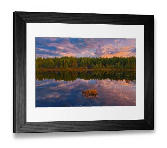 Framed Print : Canada, Ontario, Greater Sudbury. Lake grasses and cloud reflections at sunrise