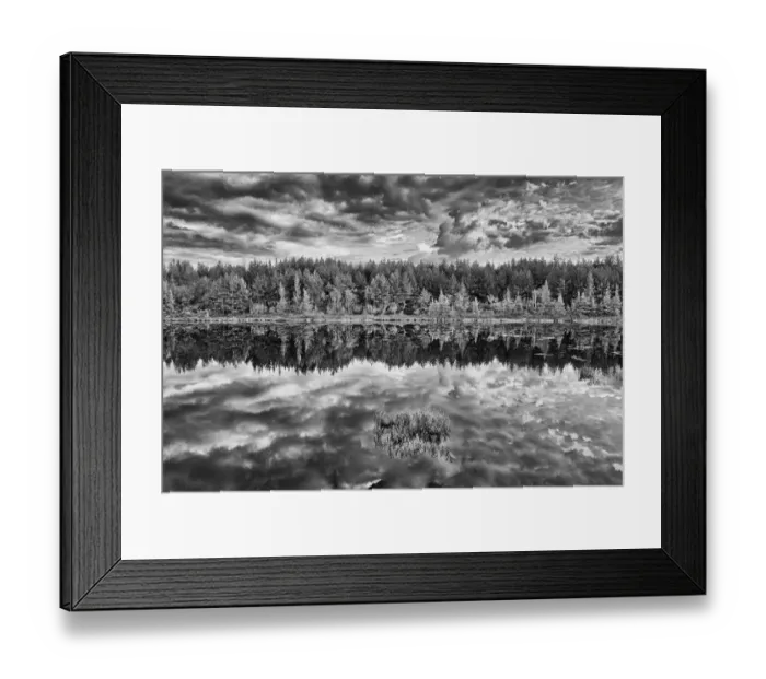 Framed Print : Canada, Ontario, Greater Sudbury. Black and white of lake grasses Framed Print : Canada, Ontario, Greater Sudbury. Black and white of lake grasses