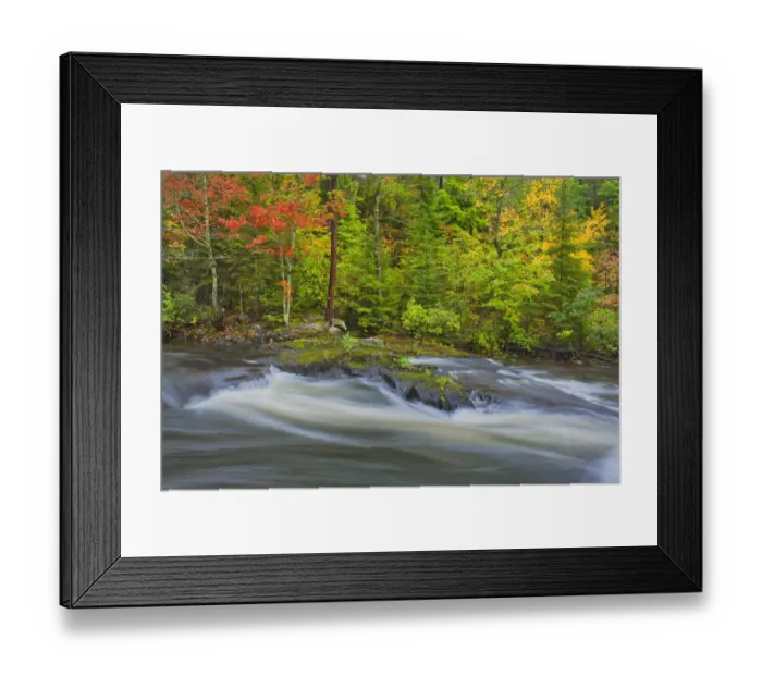 Framed Print : Canada, Ontario. Berry Creek landscape. Credit as: Mike Grandmaison  /  Jaynes Gallery  / 
