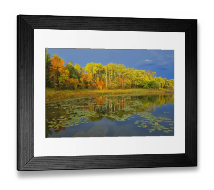 Framed Print : Canada, Ontario, Kenora District. Forest autumn colors reflect on Middle Lake Framed Print : Canada, Ontario, Kenora District. Forest autumn colors reflect on Middle Lake