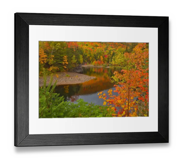 Framed Print : Canada, Nova Scotia. Indian Brook and forest in autumn. Credit as Framed Print : Canada, Nova Scotia. Indian Brook and forest in autumn. Credit as