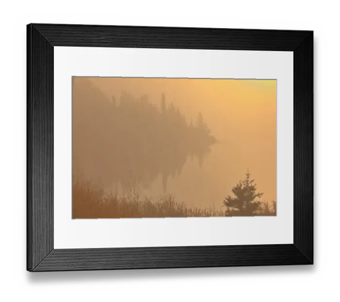 Framed Print : Canada, Manitoba, Whiteshell Provincial Park, Trees and fog at sunrise at Lyons Lake Framed Print : Canada, Manitoba, Whiteshell Provincial Park, Trees and fog at sunrise at Lyons Lake