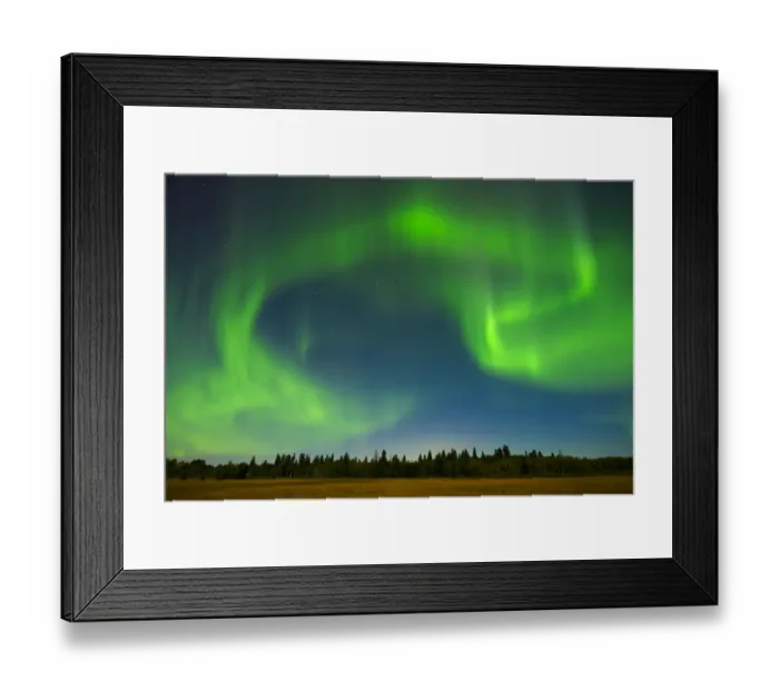 Framed Print : Canada, Manitoba, Birds Hill Provincial Park, green northern lights Framed Print : Canada, Manitoba, Birds Hill Provincial Park, green northern lights