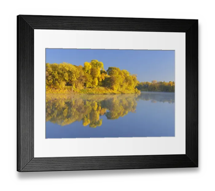 Framed Print : Canada, Manitoba, Winnipeg. Forest reflected in Red River at sunrise Framed Print : Canada, Manitoba, Winnipeg. Forest reflected in Red River at sunrise