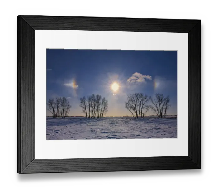 Framed Print : Canada, Manitoba, Grande Pointe. Sundogs and cottonwood trees