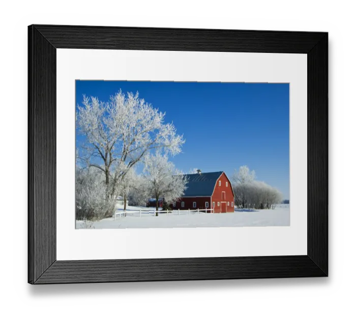 Framed Print : Canada, Manitoba, Grande Pointe. Hoarfrost and red barn in winter Framed Print : Canada, Manitoba, Grande Pointe. Hoarfrost and red barn in winter