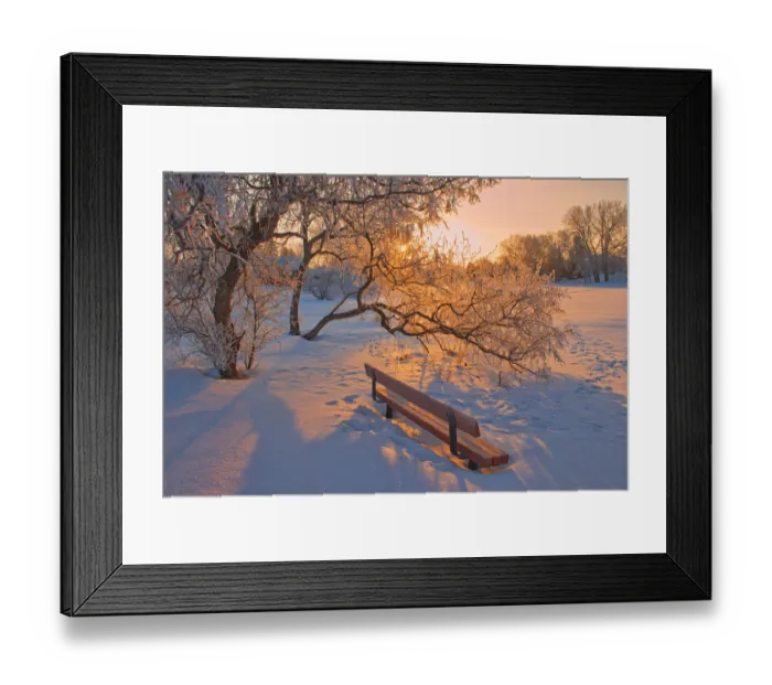 Framed Print : Canada, Manitoba, Winnipeg. Hoarfrost at sunrise with bench Framed Print : Canada, Manitoba, Winnipeg. Hoarfrost at sunrise with bench