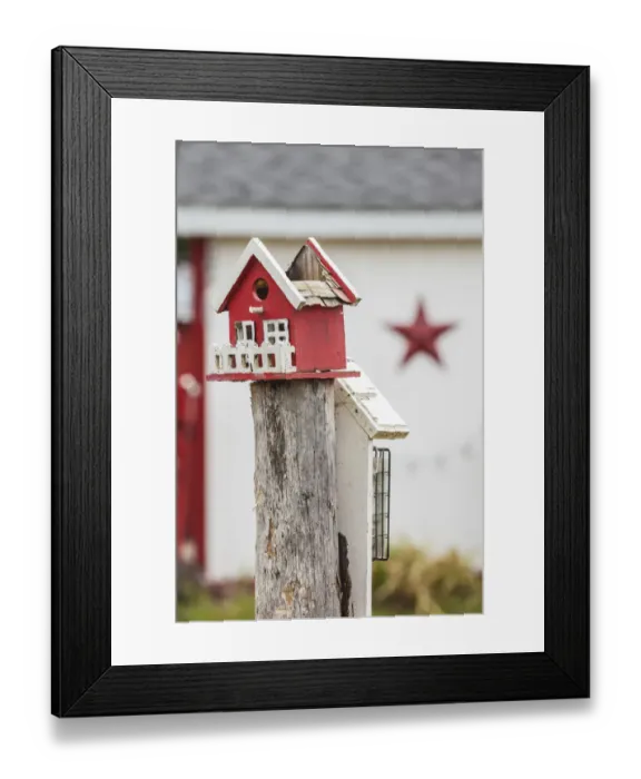 Framed Print : Canada, New Brunswick, Kennebecasis River Valley, Smiths Creek, birdhouses Framed Print : Canada, New Brunswick, Kennebecasis River Valley, Smiths Creek, birdhouses