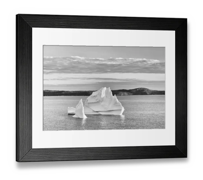 Framed Print : Canada, Newfoundland, Eastport. Icebergs floating in Salvage Bay of Atlantic Ocean Framed Print : Canada, Newfoundland, Eastport. Icebergs floating in Salvage Bay of Atlantic Ocean
