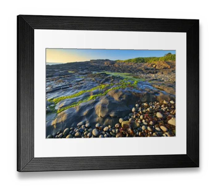 Framed Print : Canada, Nova Scotia. Rocky shoreline along Bay of Fundy Framed Print : Canada, Nova Scotia. Rocky shoreline along Bay of Fundy