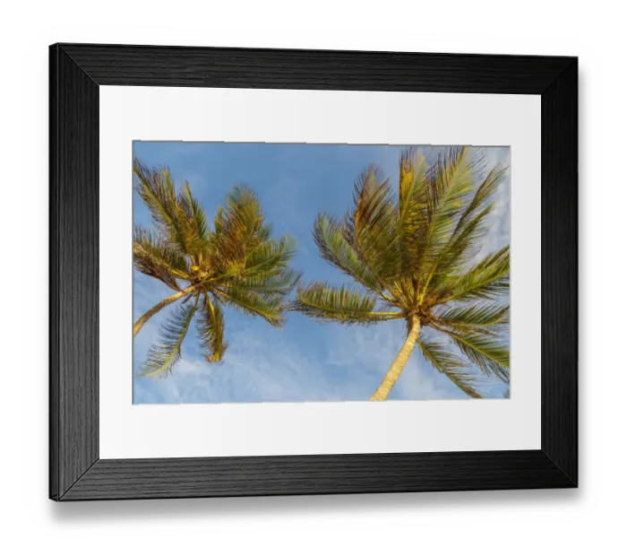 Framed Print : Caribbean, Grenada, Mayreau Island. Palm trees against sky Framed Print : Caribbean, Grenada, Mayreau Island. Palm trees against sky
