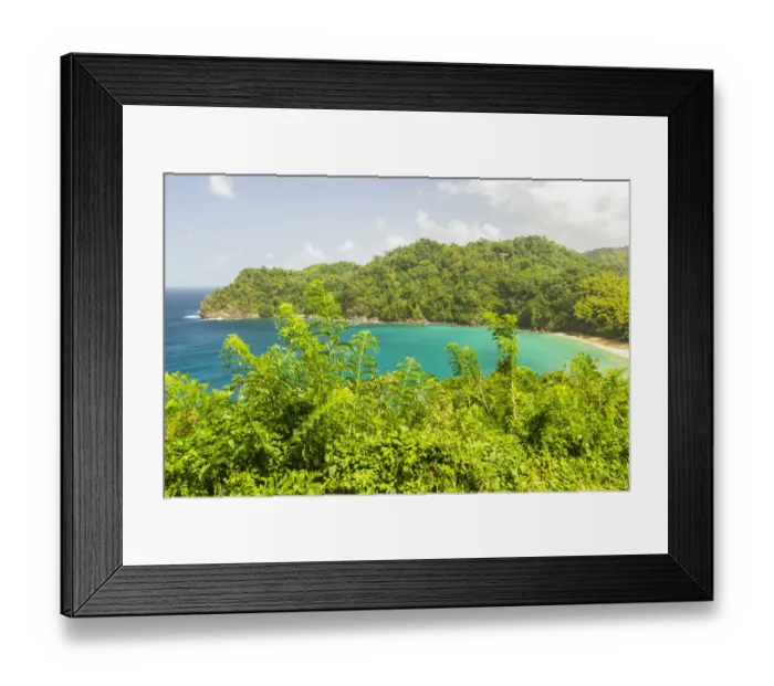 Framed Print : Caribbean, Tobago. Ocean cove and jungle landscape. Credit as