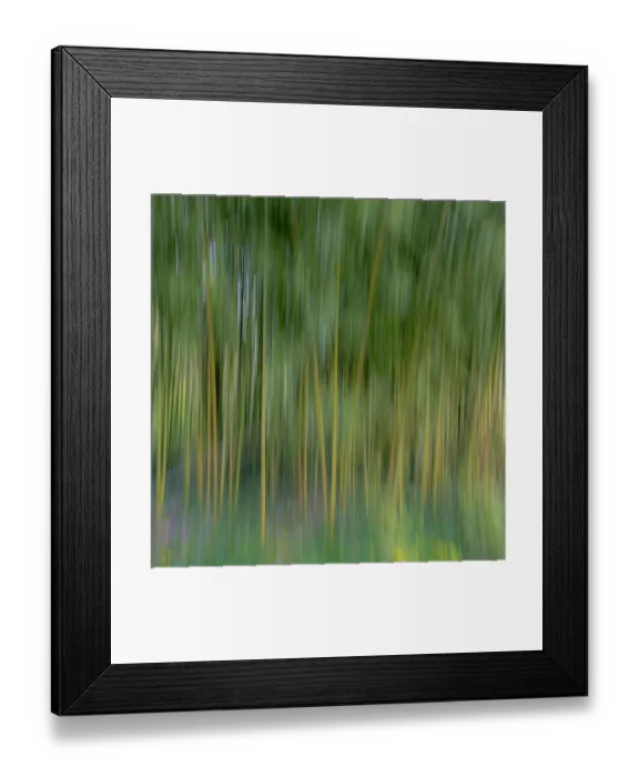 Framed Print : France, Giverny. Abstract of bamboo forest in Monets Garden Framed Print : France, Giverny. Abstract of bamboo forest in Monets Garden