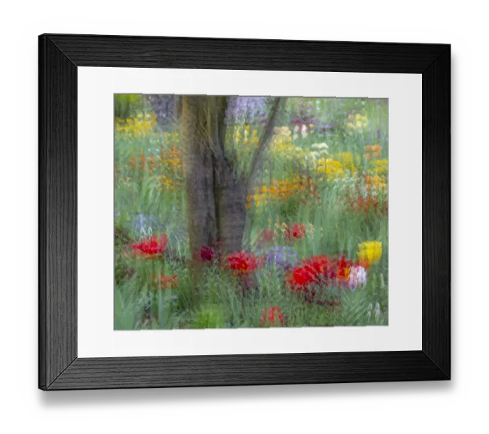 Framed Print : France, Giverny. Impression of flowers in Monets Garden Framed Print : France, Giverny. Impression of flowers in Monets Garden