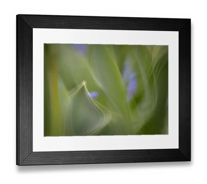 Framed Print : France, Giverny. Abstract of green leaves. Credit as: Wendy Kaveney  /  Jaynes Gallery  / 