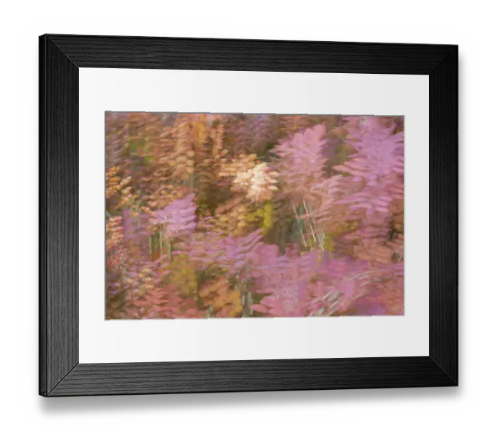 Framed Print : France, Giverny. Impression of flowers in Monets Garden Framed Print : France, Giverny. Impression of flowers in Monets Garden