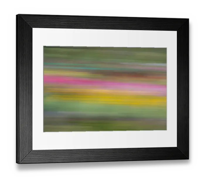 Framed Print : France, Giverny. Abstract of flowers in Monets Garden Framed Print : France, Giverny. Abstract of flowers in Monets Garden